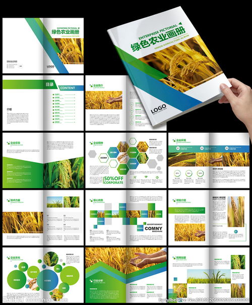 绿色渐变农业农产品清新健康画册图片