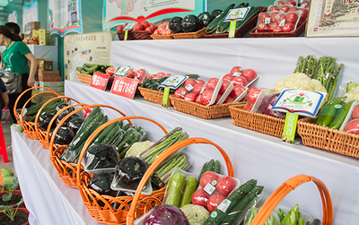 打造京津冀农产品产销对接平台 京津冀第二届蔬菜产销对接大会在河北新发地开幕