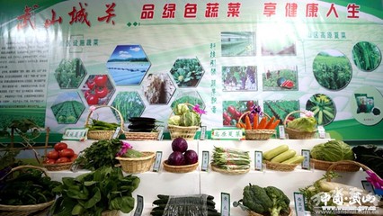 【畅游菜博】城关镇蔬菜展馆和清池蔬菜园区喜迎八方来宾--天水在线