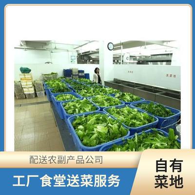 东莞蔬菜配送服务