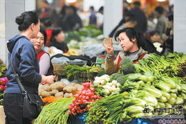兰州市制订四项稳定平抑措施 蔬菜价格有望回落