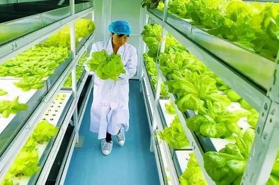 黑科技!蔬菜和猪肉开始工厂生产!