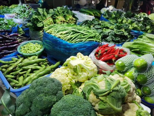 记者探访美天太阳菜市场 这些蔬菜价格春节后下跌明显