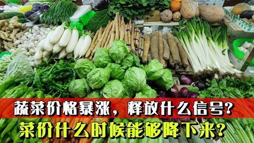 蔬菜价格普遍上涨是什么原因 导致蔬菜价格上涨的原因是什么
