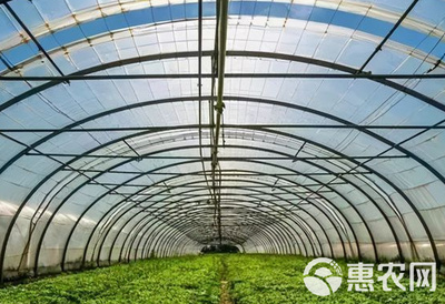 专营大棚管材大棚骨架大棚材料养殖大棚种植大棚大棚棉