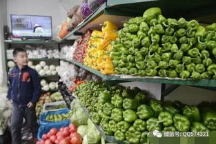 处女座开的水果店不做营销,不促销就靠颜值也可以日收一万元