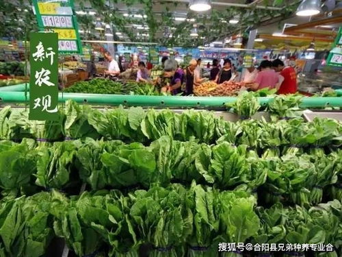 蔬菜价格高位运行态势仍会持续