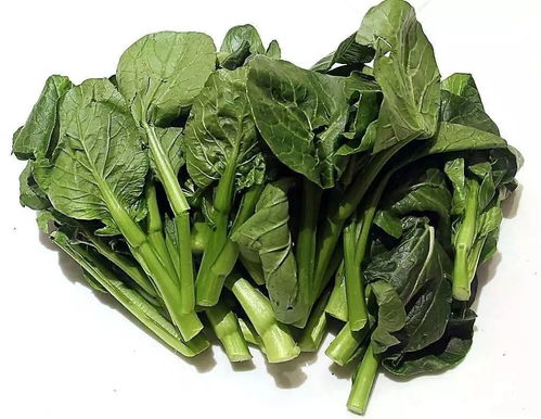 生命时报 四类食物让血管保持年轻,亚麻籽油名列榜首