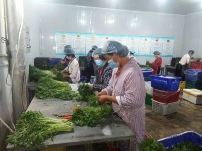社区工厂是弄啥滴?泾阳县已建成7家,8家即将建成!