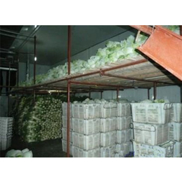 花都西樵工厂蔬菜配送信赖推荐
