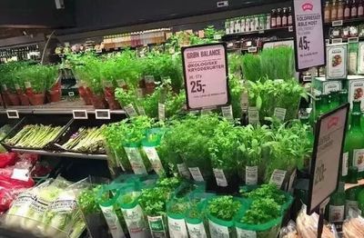 水果蔬菜经营的核心是什么?(收藏)