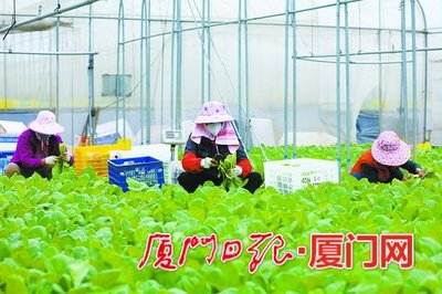 厦门出台“惠农八条” 保春耕稳供给