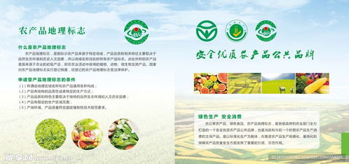 绿色农产品画册设计图