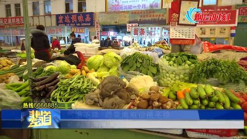 气温下降烟台蔬菜海鲜价格平稳 鲜海参85元一斤