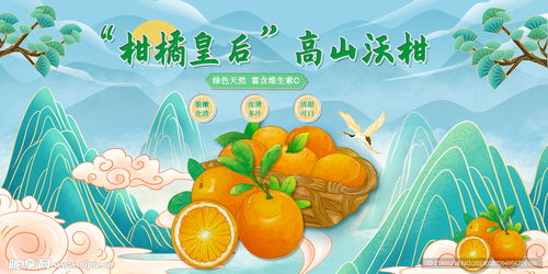 国潮中国风柑子沃柑农产品水果展设计图