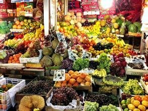 【北京鑫东郊蔬菜果品批发市场】地址在哪里怎么走_北京鑫东郊蔬菜果品批发市场拿货攻略_营业时间几点开门_53货源网
