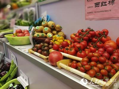黑龙江蔬菜产业将成争当农业现代化建设排头兵新引擎|中国|半岛网