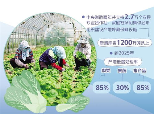 补齐农产品 最初一公里 短板
