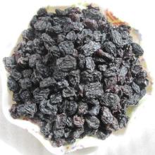  新疆霍城县绿祥食品厂 主营 果蔬品 新疆特产 葡萄