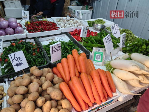 秋季蔬菜上市旺季到来,您家买到 一元菜 了吗