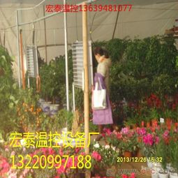 养鸡取暖设备 小鸡育雏升温锅炉