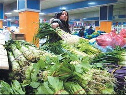 蔬菜价格持续波动 流通成本上升推高菜价