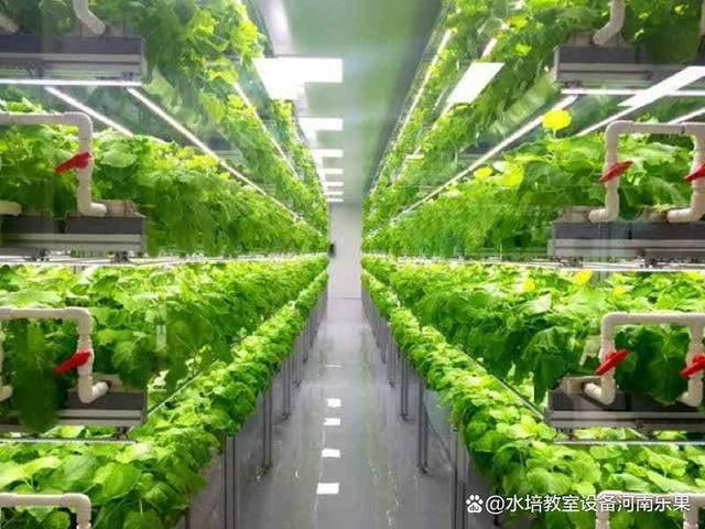 种菜的先进技术-智能化植物工厂,无土栽培25天左右就可收获