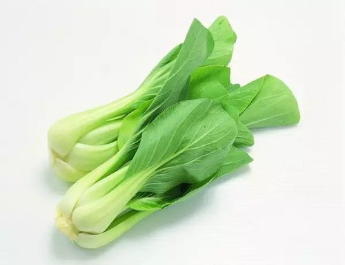 三九 刚开始不妨吃点牛羊肉暖暖身子