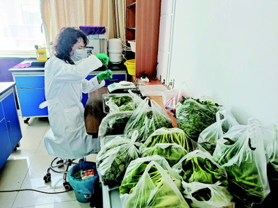 肃北县农产品质量安全检测站对党城湾镇城关村开展农产品安全专项检查