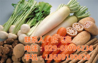 蔬菜配送 袋鼠农产品销售 长安蔬菜配送公司