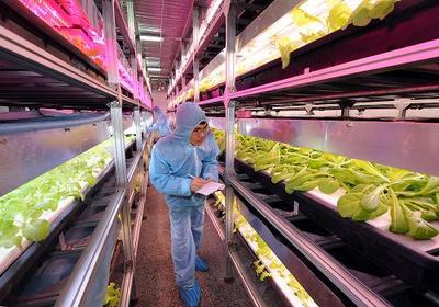 北京建成首个具有自主知识产权的大型植物工厂