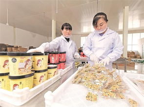 当农业搭上电商 快车 双十一 改变农产品销售格局