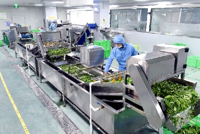 每顿提供1.2万份快餐 乐清首家集体用餐配送中心建成