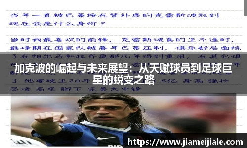 乐鱼体育官网